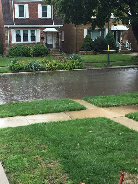 Whyt do streets flood more than they use to